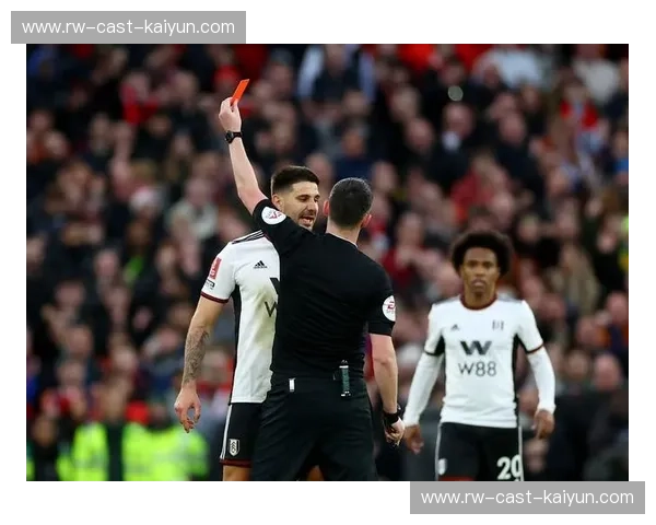 开云体育赛后争议：真相背后的深层次问题